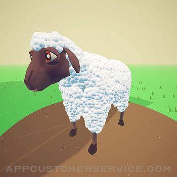 Sheep Shear Customer Service