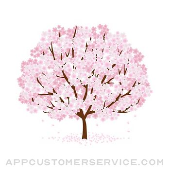 Sakura - 四字熟語Quiz Customer Service