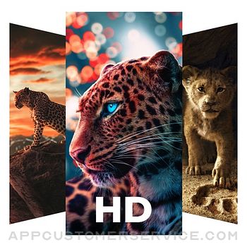Lion Wallpaper and backgrounds Customer Service