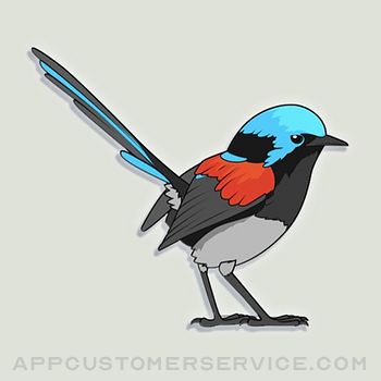 Exotic Bird Stickers Customer Service