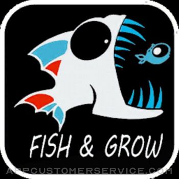 3D Fish Growing Customer Service