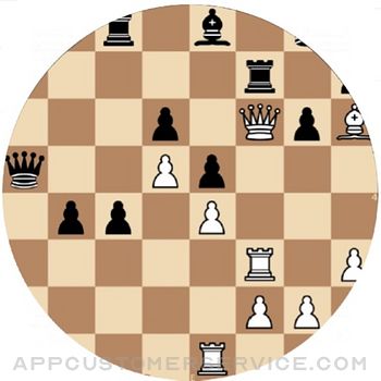 Chess master tutorial Quiz Customer Service