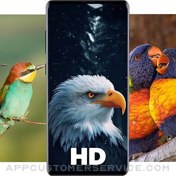 Birds Wallpapers HD Customer Service