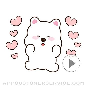 Download White Bear Terri App