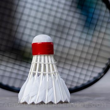 Badminton 2D Customer Service