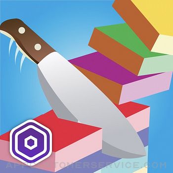 Download Master Slicer App