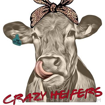 Download Crazy Heifers Wholesale App