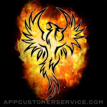 Darkness and Flame I (F2P) Customer Service