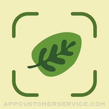 Leaf Identification Customer Service