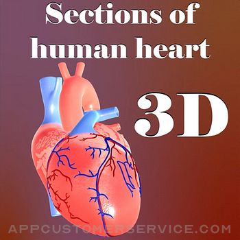Sections of human heart Customer Service