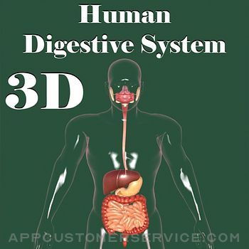 3D Human Digestive System Customer Service