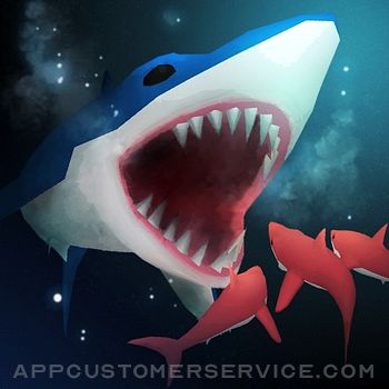 Shark Fest Customer Service