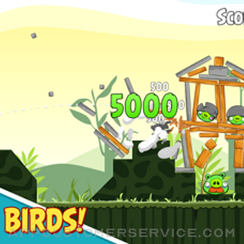 Rovio Classics: Angry Birds iphone image 2
