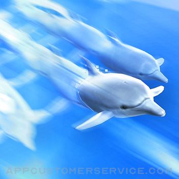 Dolphin Trainer Customer Service