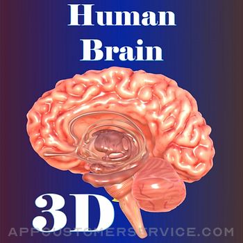 Human Brain Customer Service