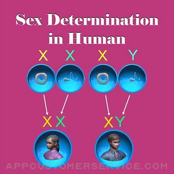 Sex Determination in Human Customer Service
