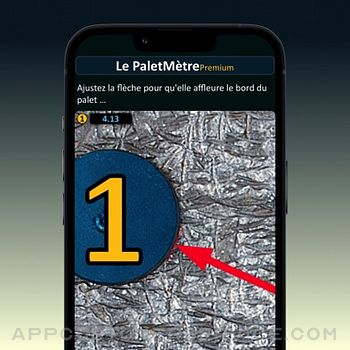 PaletMètre Premium iphone image 4