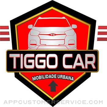 TIGGO CAR - Passageiro Customer Service