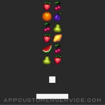 Fruit Pong - Arcade Game Customer Service