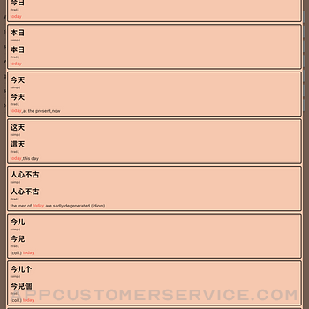 AI Chinese Dictionary ipad image 3