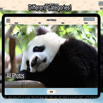 Animal Wallpapers HD 4K ipad image 2