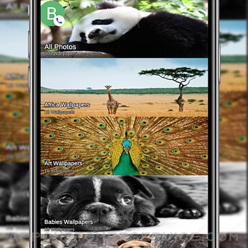 Animal Wallpapers HD 4K iphone image 2