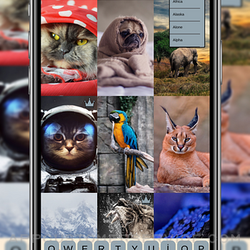 Animal Wallpapers HD 4K iphone image 4