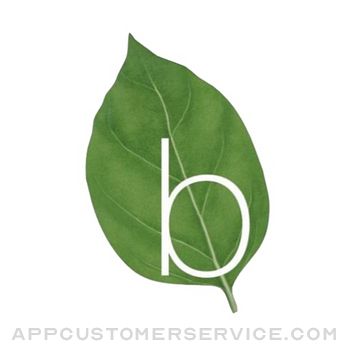 Basilico Customer Service