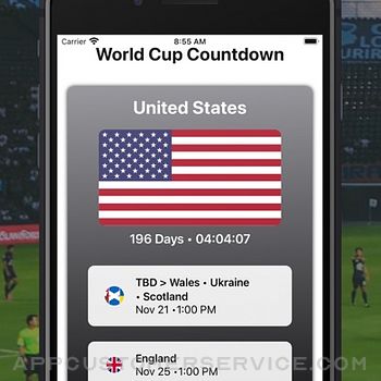 WorldCup Widget iphone image 1