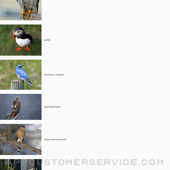 AI Birding ipad image 2