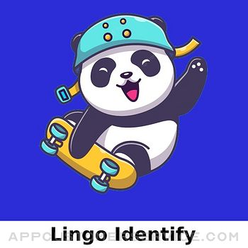 Lingo Identify Customer Service