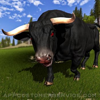 Angry Bull Life Simulator Customer Service