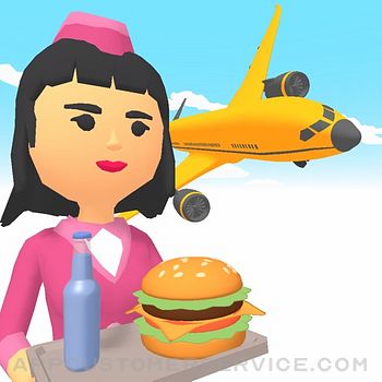 Airplane Manager! Customer Service