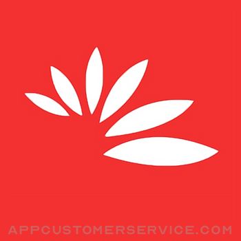 Bloom Misr Customer Service