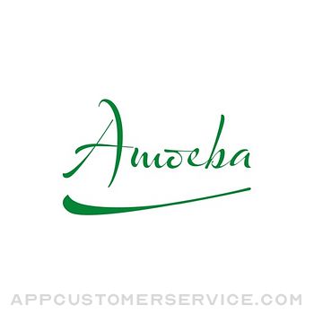 Amoeba 28 Customer Service