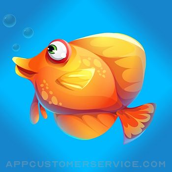 Diamond Fish Customer Service