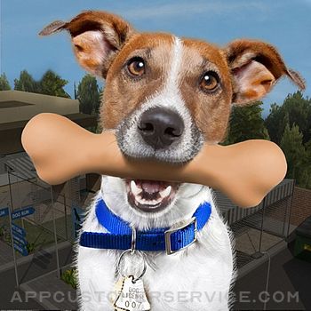 Animal Rescue - Dog Simulator Customer Service
