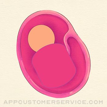 Download Pregnancy Affirmations App