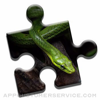 Snake Love Puzzle Customer Service