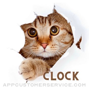 Cat Clock app.digital cute Customer Service