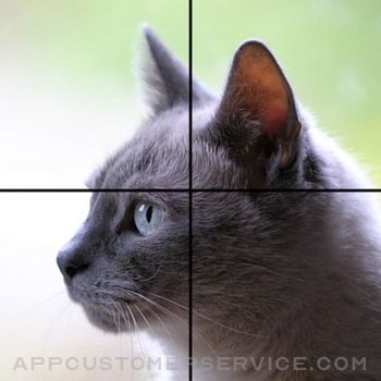 Download Adorable Cat Puzzles App
