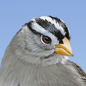 iBird Yard+ Guide to Birds Customer Service