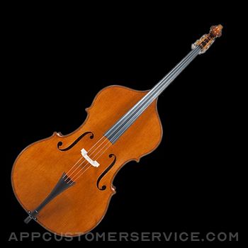 Double Bass Tuner Simple Customer Service