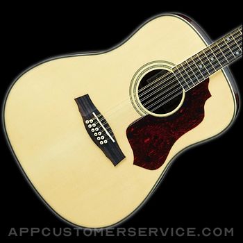 12-String Guitar Tuner Simple Customer Service
