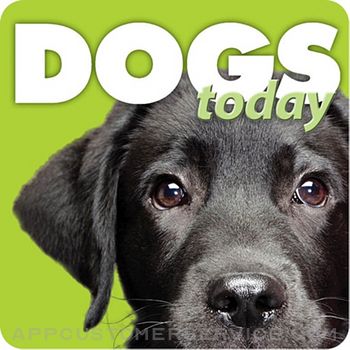 Dogs Today Magazine Customer Service