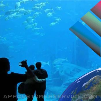 Aquarium Videos Customer Service