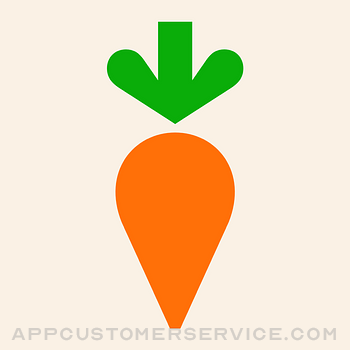 Instacart: Food delivery today Customer Service