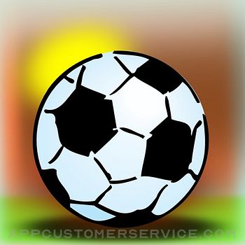 Soccer Player Tracking/Awards Customer Service