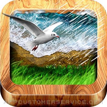 Download NatureScapes Relaxing Sounds App