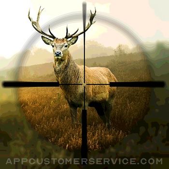 Hunting Simulator Customer Service